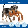 Barkbox Bulldog Barkarita Plush Dog Toy, Crazy Crinkle and Whip n Flip Features & Squeakers – Fun Dog Toys(Sasquatch)