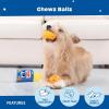 Barkbox Chewz Ballz Plush Dog Toy | Multi-Part Fun for Small Dogs, Perfect for Playtime & Fetch(Chewz Ballz-Small)