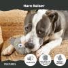 Barkbox Dog Toy 2 in 1 Interactive, Plush Exterior with Squeaker & Textured Material, Tearable Dog Toy with Squeaky Spikey Ball Inside, Ideal for Toy Destroyers – Monsieur Acorn, Large(Hare – Large)