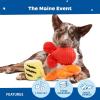 Barkbox Movie Bites Dog Toy Bundle – Squeaky Dog Toys – Plush Dog Toys – Puppy and Pet Toys for Small Dogs(The Maine Event)