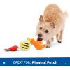 Barkbox Movie Bites Dog Toy Bundle – Squeaky Dog Toys – Plush Dog Toys – Puppy and Pet Toys for Small Dogs(The Maine Event)