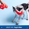 Barkbox Plush Throwing Munches Squeaky Dog Rope Toy, Small Dog Breeds – Durable Interactive Tug T-Shirt Rope Toy for Aggressive Chewers, Puppy Teething, Exercise, Training, Boredom, Bonding, Play