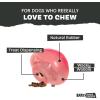 Barkbox Poopsicle Dog Toy for Medium Dogs – Perfect for Fetch and Hiding Treats, Offering a Rewarding Challenge for Dogs and Puppies(Treat Caster Potion)