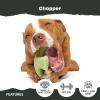 Barkbox Super Chewer Tough Dog Chew Toys for Aggressive Chewers, Dental Stimulating (T Bone – Large)(Chopper – Large)
