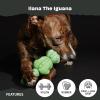 Barkbox Super Chewer Tough Dog Chew Toys for Aggressive Chewers, Dental Stimulating (T Bone – Large)(Illana the Iguana – Large)