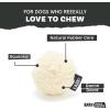 Barkbox Super Chewer Tough Dog Chew Toys for Aggressive Chewers, Plush 2 Toys in 1 (Parrot – Large)(Smash Potato – Small)
