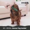 Barkbox Super Chewer Tough Dog Chew Toys for Aggressive Chewers, Treat Dispensing (Comet-Small)(Green Chew Leaf)