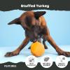 Barkbox Super Chewer Tough Dog Chew Toys for Aggressive Chewers, Treat Dispensing (Comet-Small)(Stuffed Turkey-Large)
