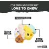 Barkbox Torbert The Troll Dog Toy for Small Dogs – Natural Rubber with Wacky Bounce – Perfect for Aggressive Chewers and Long-Lasting Playtime(Hatch Me If You Can)