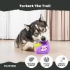 Barkbox Torbert The Troll Dog Toy for Small Dogs – Natural Rubber with Wacky Bounce – Perfect for Aggressive Chewers and Long-Lasting Playtime(Torbert The Troll-Large)