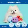 Barkbox Wild Berry Bunch Multi Part Toy for Dogs and Puppies – Small Breeds(Wild Berry)